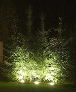 Грунтовый светильник для подсветки деревьев